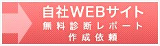 web�T�C�g����SEO�f�f���|�[�g�쐬�˗�