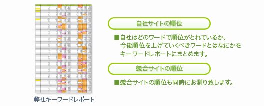 SEO�΍� �L�[���[�h���|�[�g