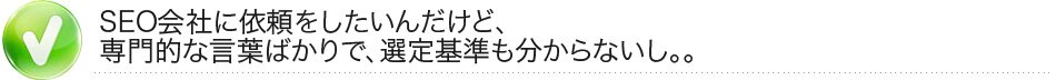 SEO会社に依頼をしたいんだけど、専門的な言葉ばかりで、選定基準も分からないし。。