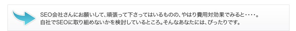 SEO会社さんにお願いして、頑張って下さってはいるものの、やはり費用対効果でみると・・・・。自社でSEOに取り組めないかを検討しているところ。そんなあなたには、ぴったりです。