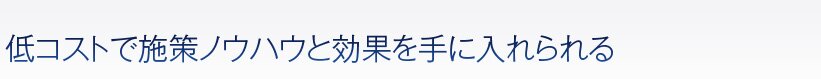 低コストで施策ノウハウと効果を手に入れられる!