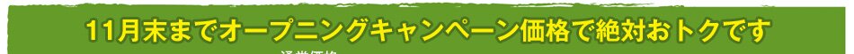 2012年5月末までオープニングキャンペーン価格で絶対おトクです。